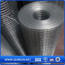 Hot Dipped Coated Electro Galvanized Welded Wire Mesh